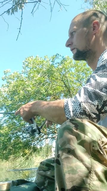 Сормышинг, тарашка к пиве)