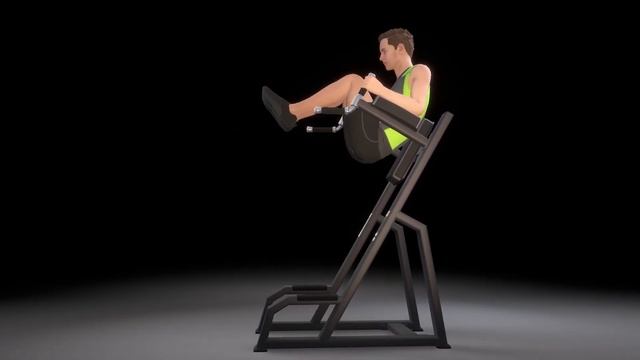 DHZ Fitness Evost II - A3047 Vertical Knees Up _ Dip