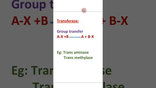 #winnersedutalk /  Classification of Enzymes/ Bio chemistry/ Biology lectures