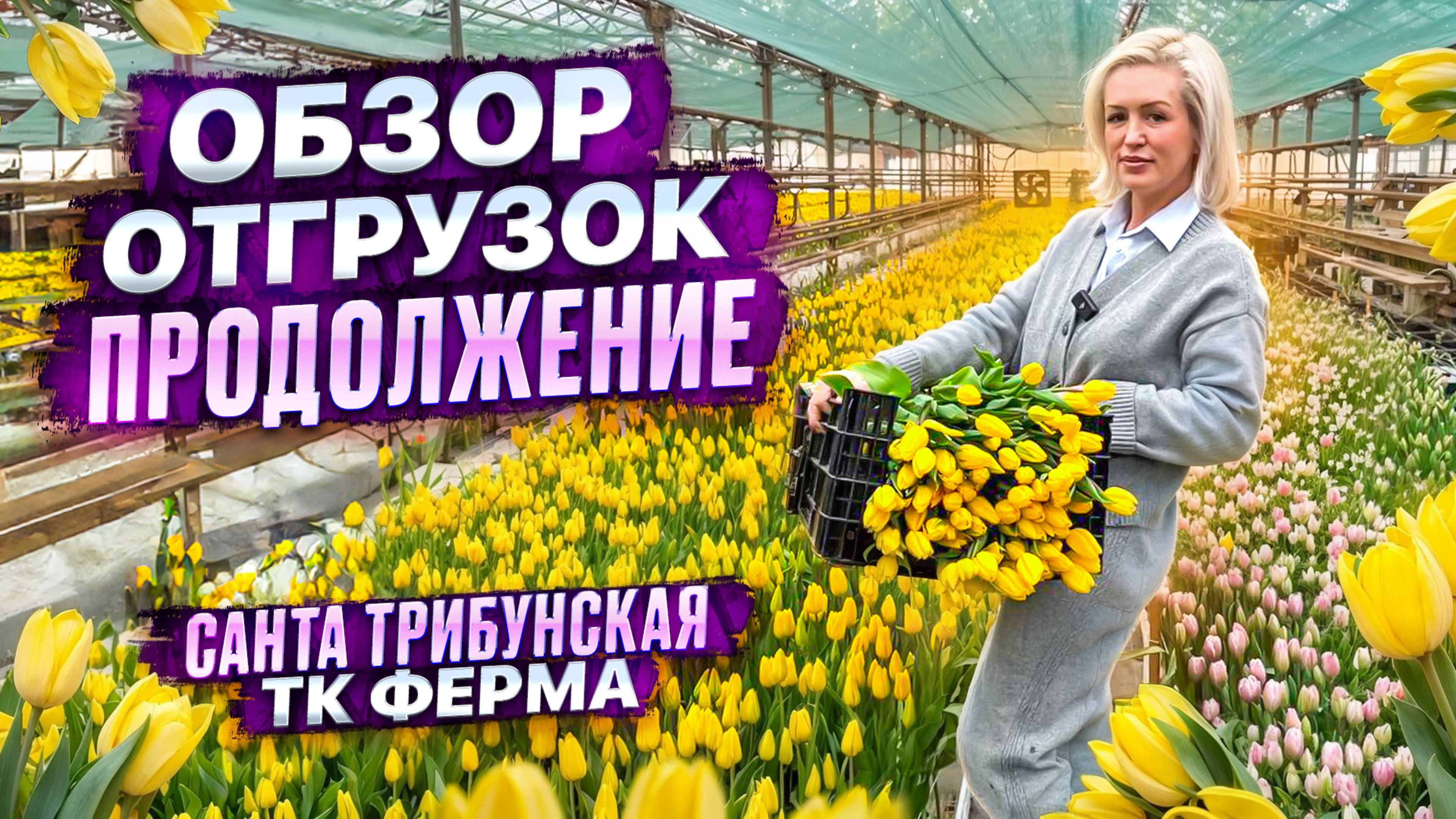 ОБЗОР ПОЗДНИХ ОТГРУЗОК