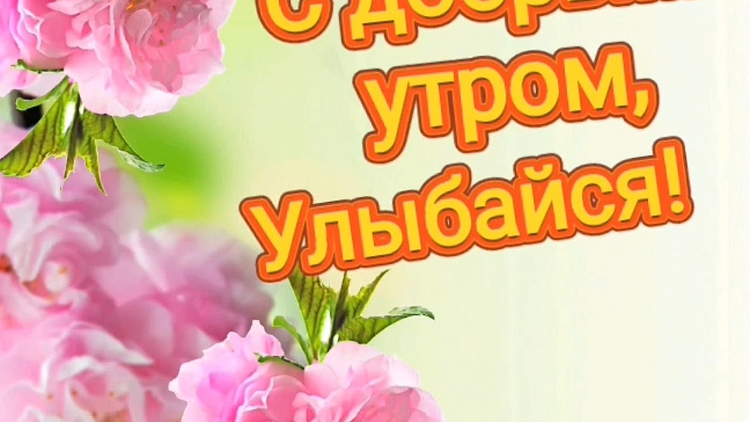 💕🌞 С добрым утром, днём!