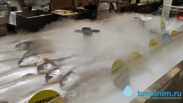 Витрина "рыба на льду" со встроенным ультразвуковым орошением. ООО "ТУМАНИМ"