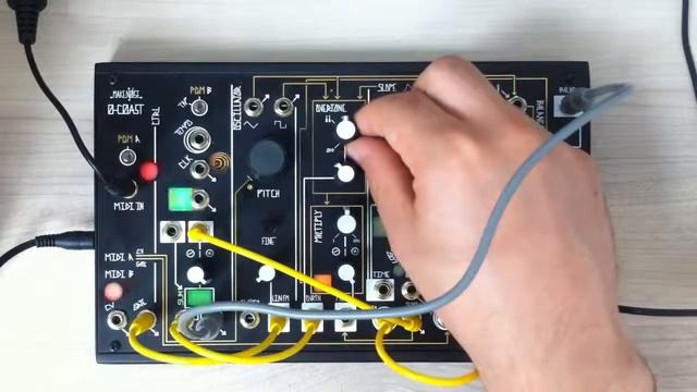 Make Noise 0 Coast #1 - Semi Modular Synthesizers