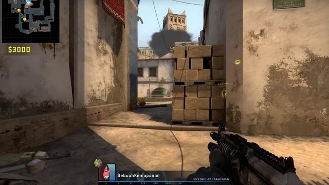 ECO and ACE (Smart Play 200 IQ) on Mirage (CSGO Demo)