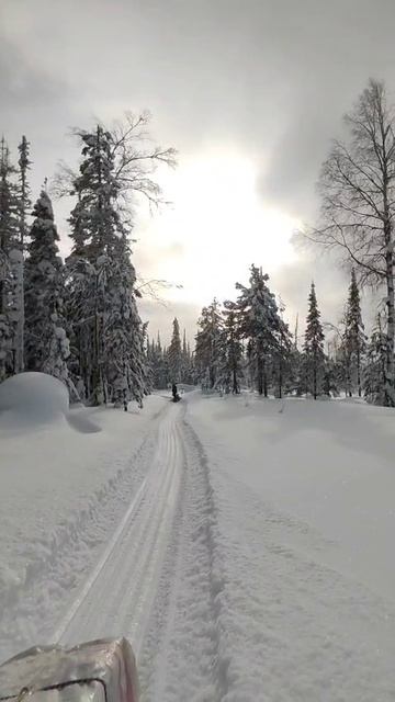 9 Зимняя тайга Снегоход Морозко и мотособака