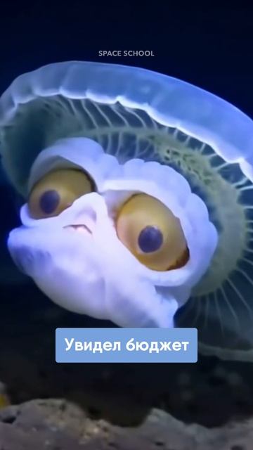 Сюрпрайз сюрпрайз 😅