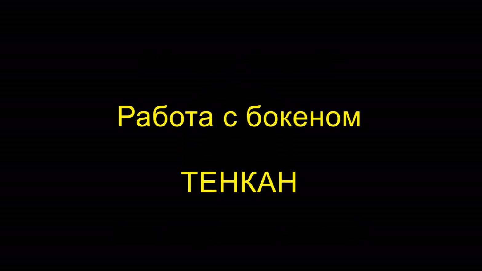 ТЕНКАН. Работа с бокеном. Айкидо "Борей"