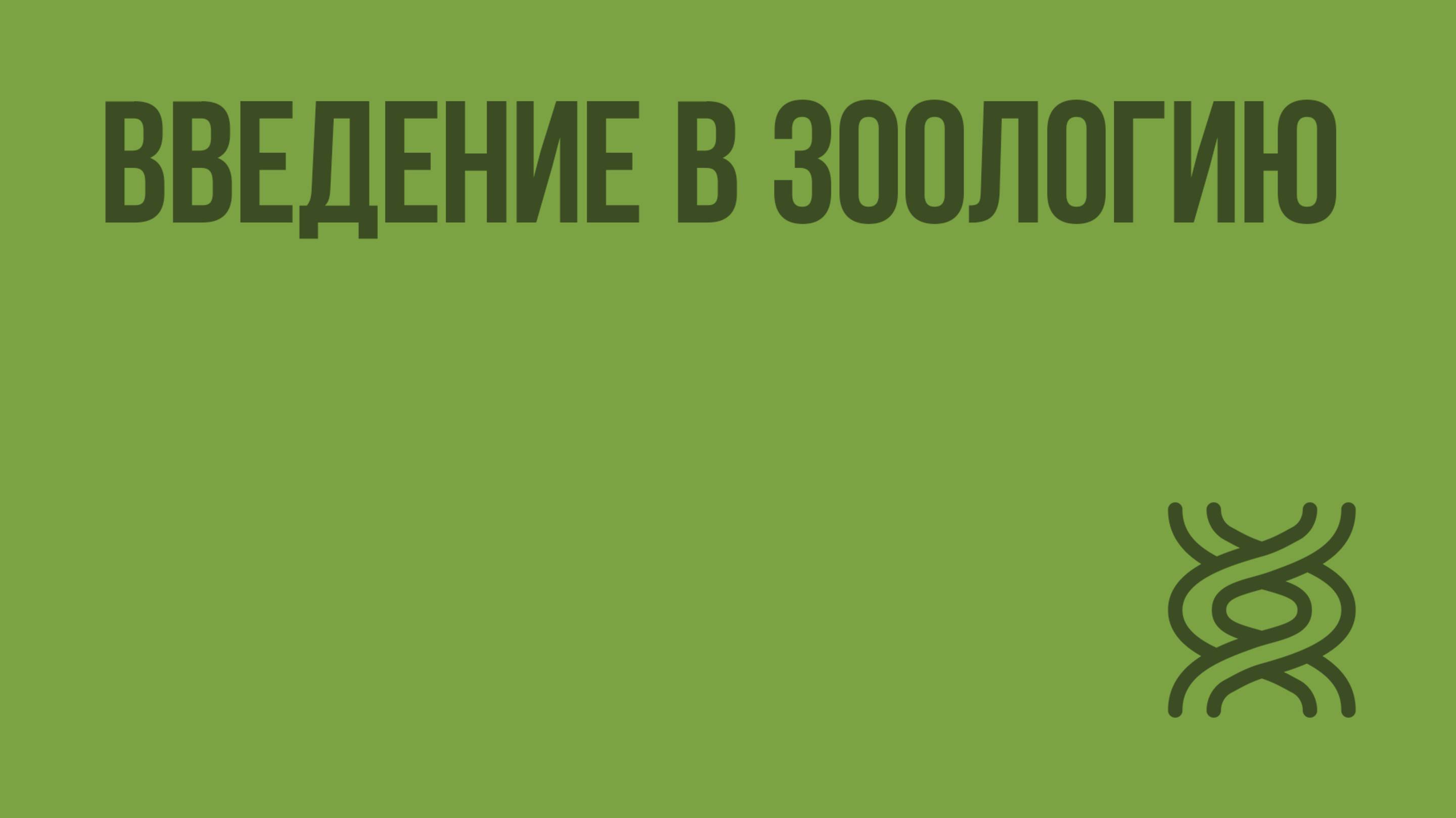 Введение в зоологию. Видеоурок по биологии 7 класс