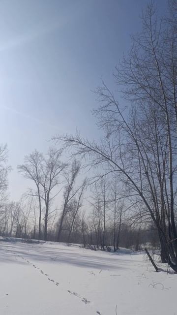 на озере