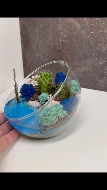 Флорариум с кактусами