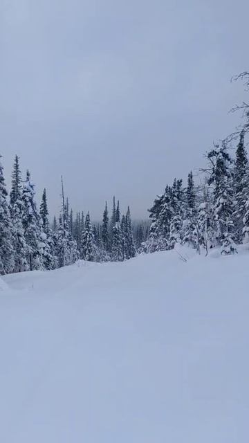 16 Зимняя тайга будет спуск 4 километра по сказочной тайге