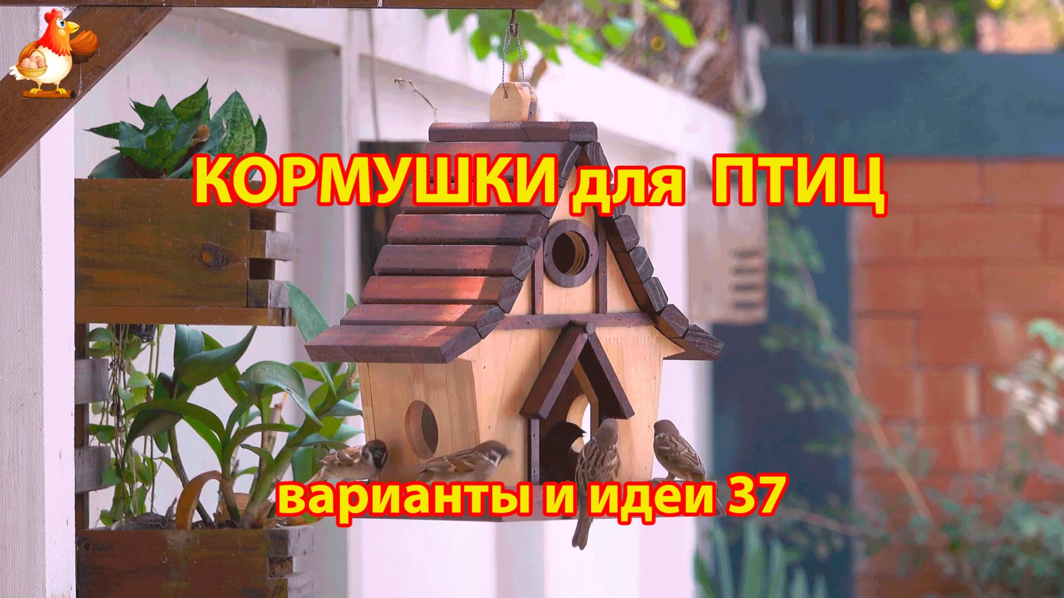 Кормушка для птиц своими руками как сделать пошагово  (37) 🪚🪛🔨 Идеи для дачи и сада❣️