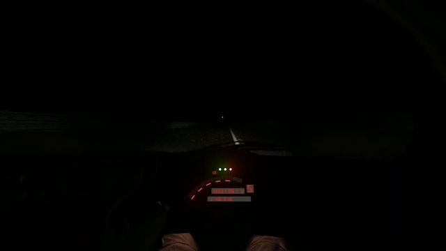 Lemans 24h night lap - Peugeot 905 evo 1