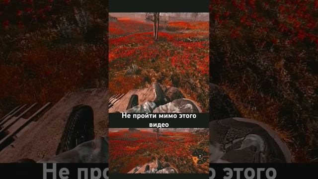 Marmok играет на гитаре  в Сталкер 2. На авторство не претендую.
