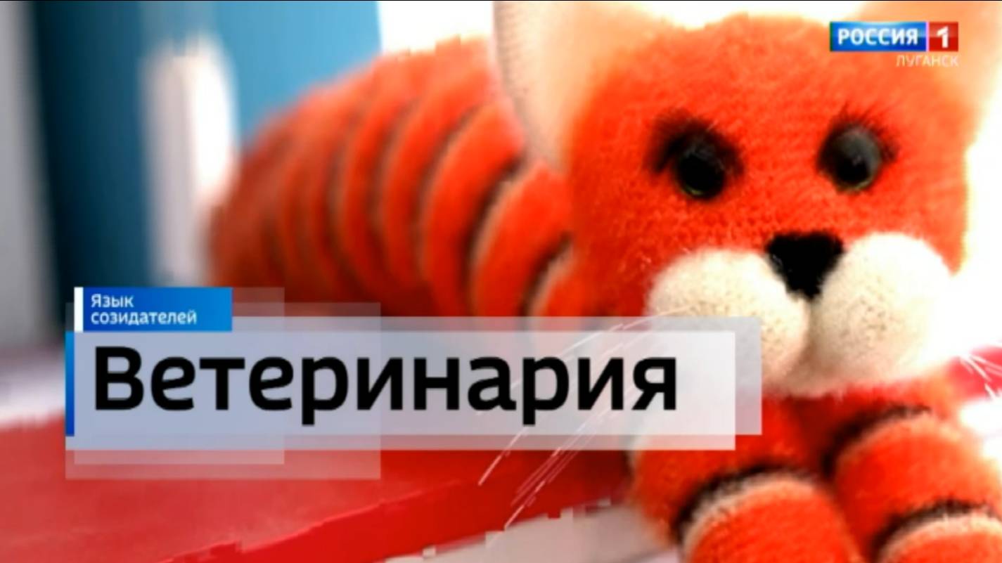Рубрика "Созидатели". Ветеринария