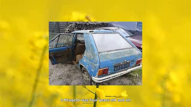 Owner reunited with stolen peugeot 104 - 38 years later