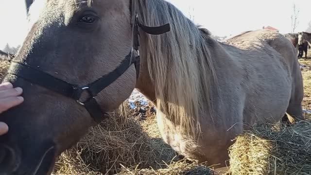 МОЖАЙСК. ЛУЖЕЦКИЙ ФЕРАПОНТОВ МОНАСТЫРЬ