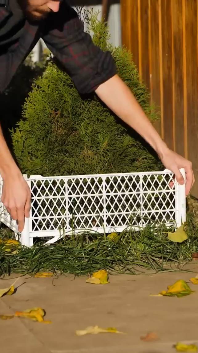 🔨Простые идеи по преобразованию сада! #shorts #garden #советы