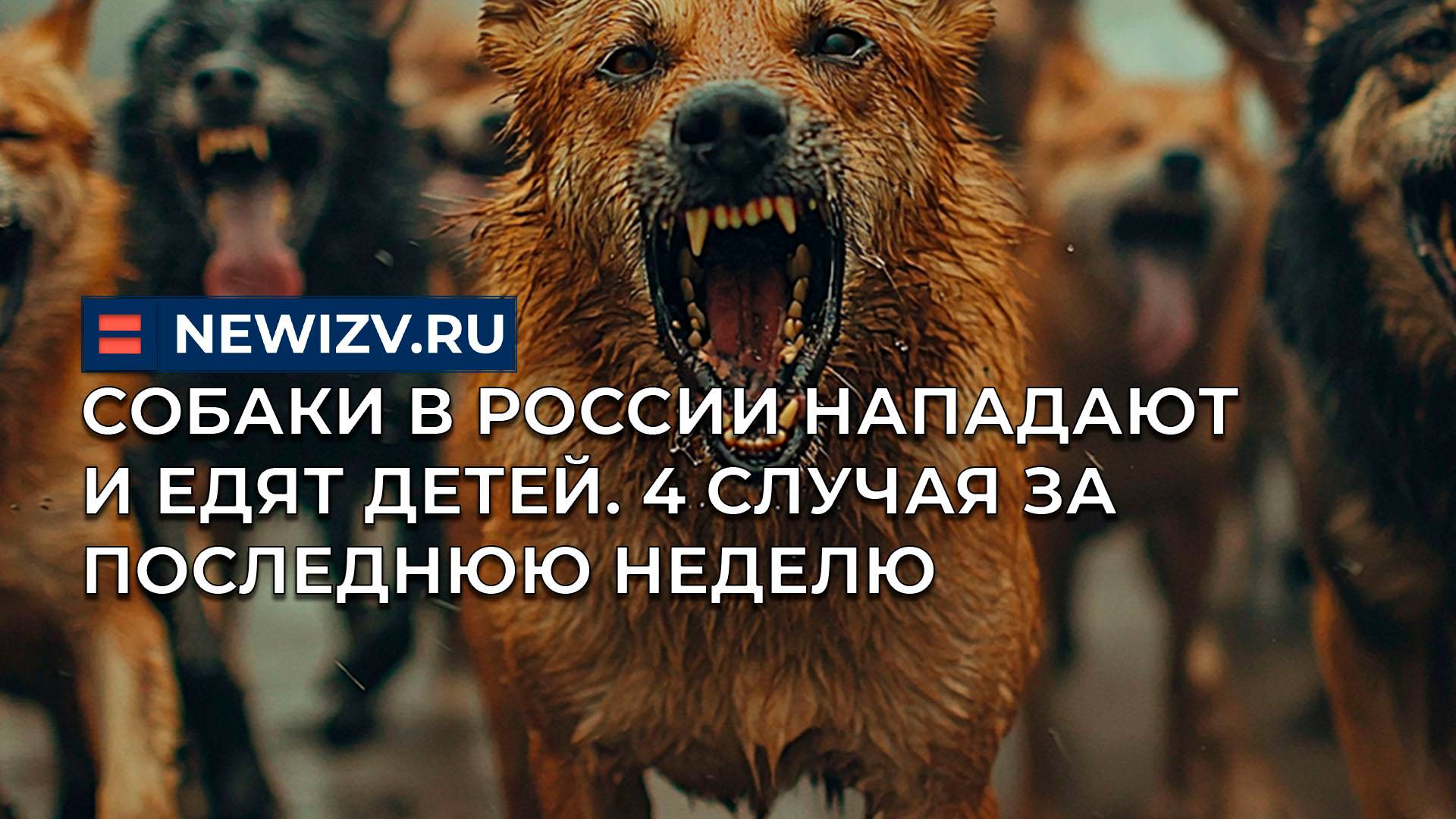 Собаки в России нападают на детей. 4 случая за последнюю неделю