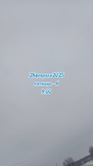 28февраля2025