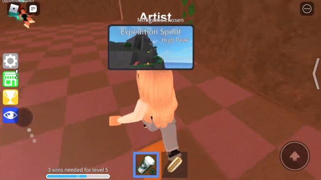 Playing epic mini games in a private server