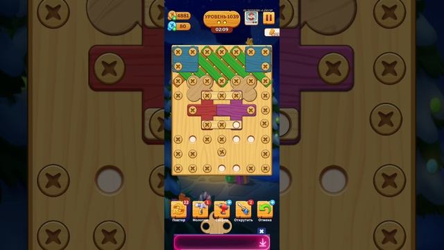 1039 level_screw puzzle (falcon)_Screen_Recording_20250210_225711_Parallel Space