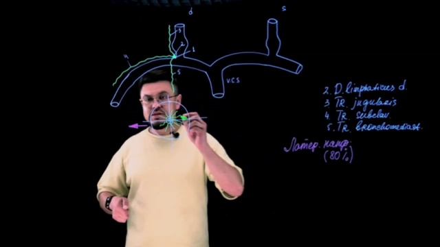 Чем важны знания об особенностях оттока лимфы от молочной железы?