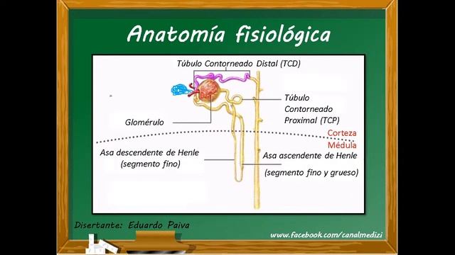 REPASO  DE FISIOLOGÍA RENAL (14/09/2020)