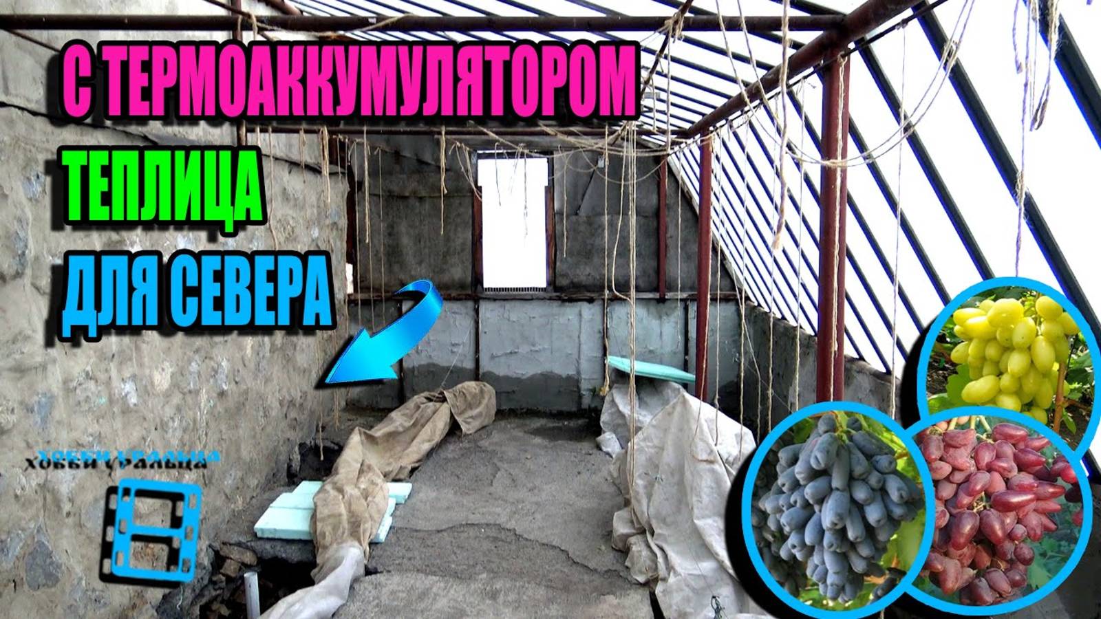 НОВЫЙ ПОДХОД К КОНСТРУКЦИИ ТЕПЛИЦЫ ДЛЯ ВИНОГРАДА. СЕВЕРНЫЙ ВИНОГРАДНИК 25-01