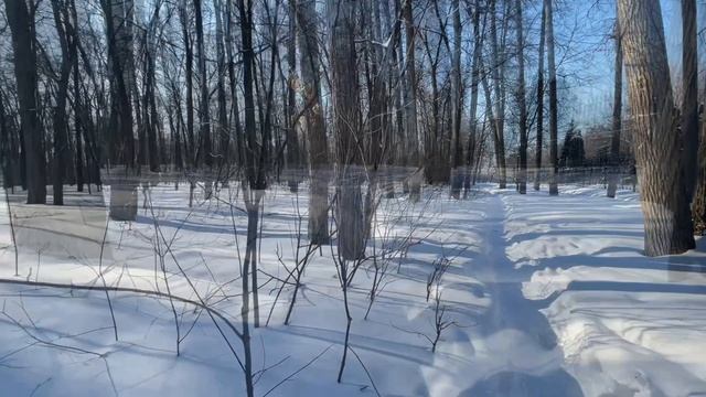 По тропике через лес, последний день зимы  28-02-2025