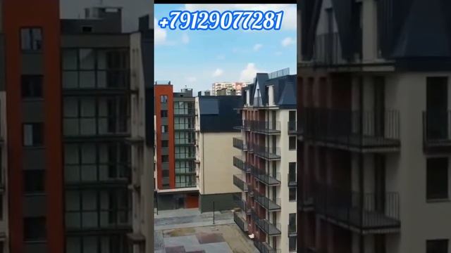 InShot_20250215_193507873