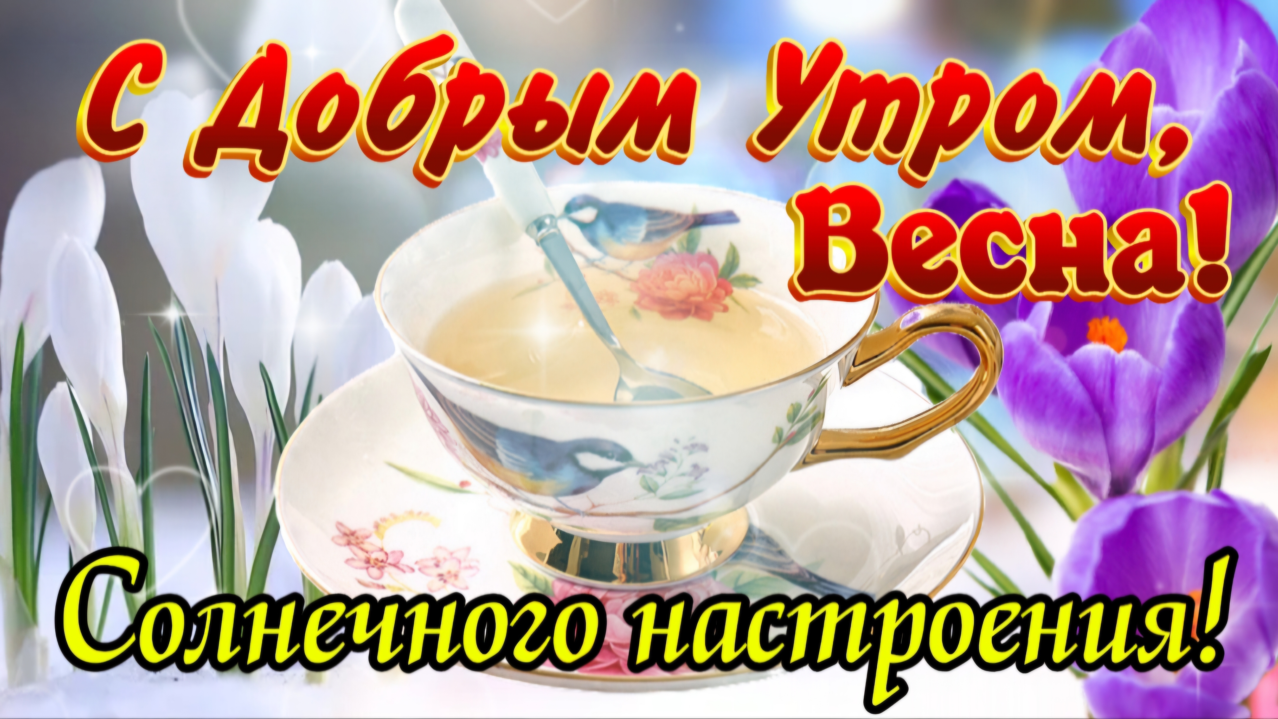 Доброе утро, Весна! 🌼 Пожелания с весенним настроением 🌺 Открытка для души. Просыпайтесь с улыбкой