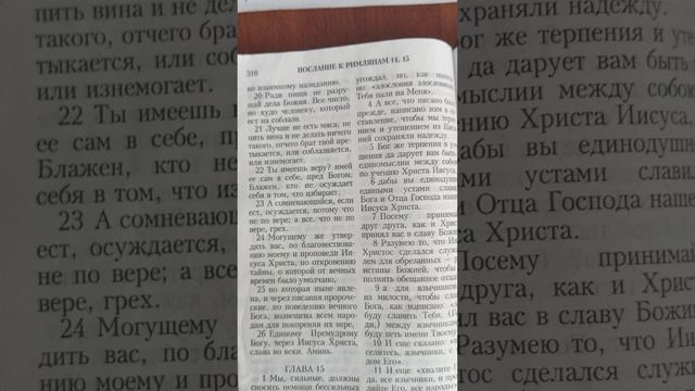 моя странная православна протестантская Правда.