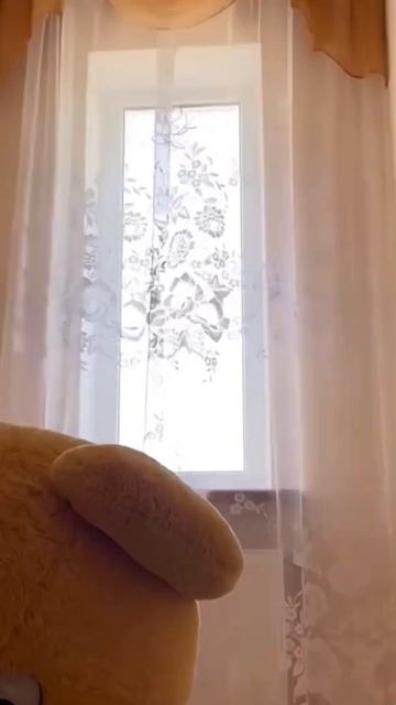 scene_output.mp4
