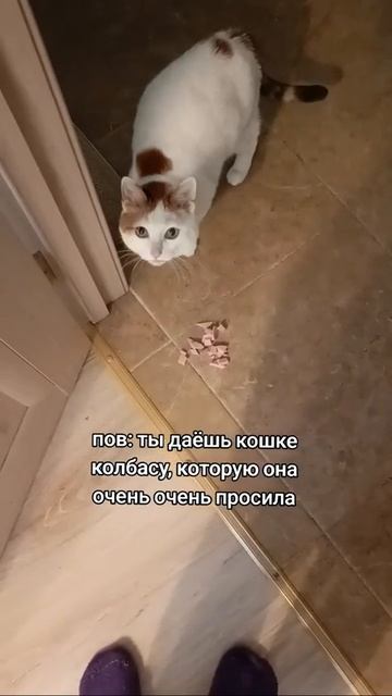 ну это база