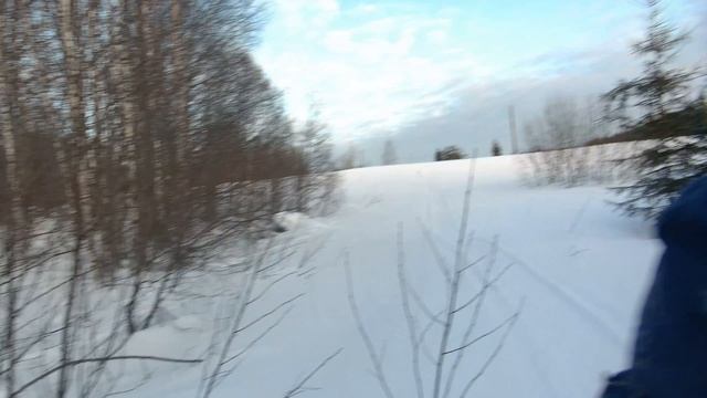 Борок Февраль
