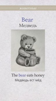 Животные на Английском #learn #english