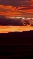 Все видео за историю конала