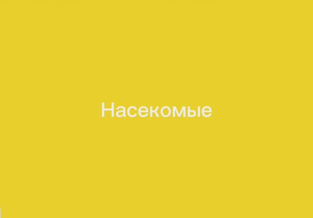 Насекомые. Развивающее видео для детей. Анимация