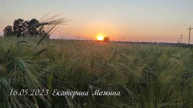 Маленький человек с большим сердцем. Читает Виталий Калинников. Стих Екатерины М