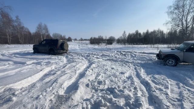 Нива вытягивает леопард