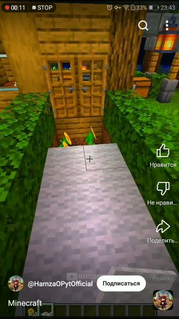 minecraft × hipnodancer