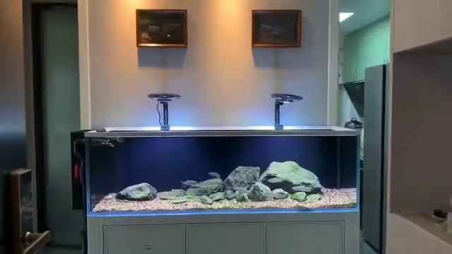 ZETLIGHT F8 PRO streamtank