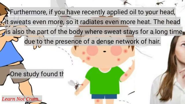 Why Mosquitoes Hover Over Head? | Why Do Mosquitoes Circle Over the Head? | mosquitoes
