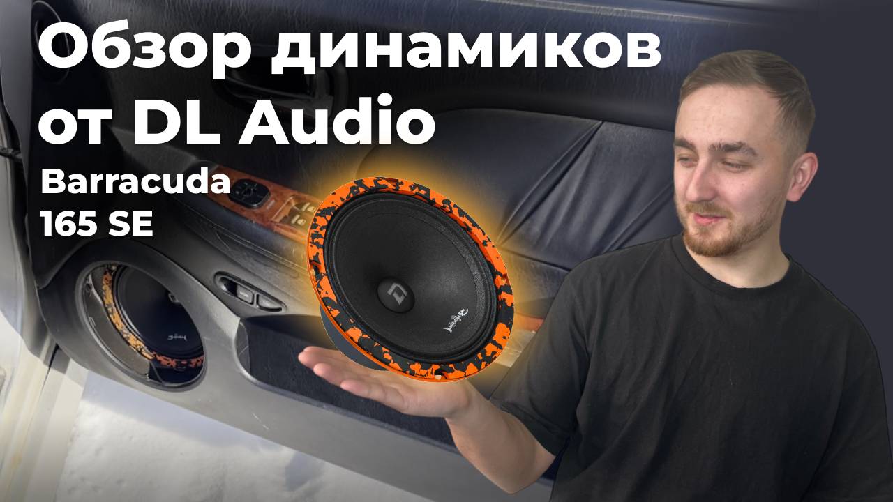 Обзор динамиков DL Audio Barracuda 165 SE / Бюджетная замена штатки Hyundai Sonata IV