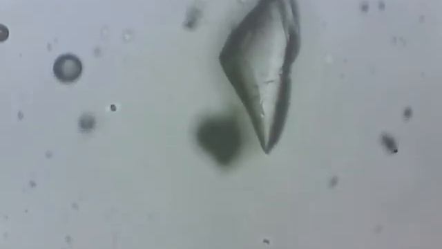 Растворение сахара