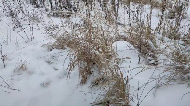 Что такое счастье?! Не простой вопрос...🤔