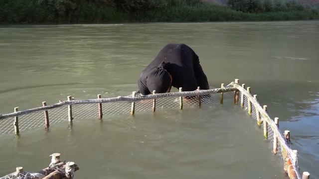 БОЛЬШАЯ РЫБАЛКА В РЕКЕ _ ГАРАНТИЯ РЫБЫ КАЖДЫЙ ДЕНЬ