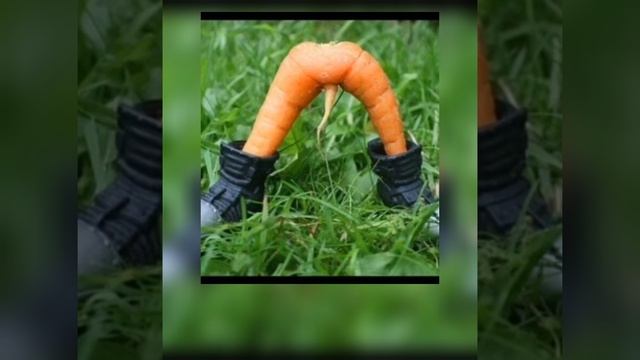 2802250313.mp4