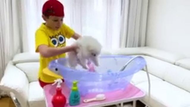 Катя и Макс их питомцы (1)